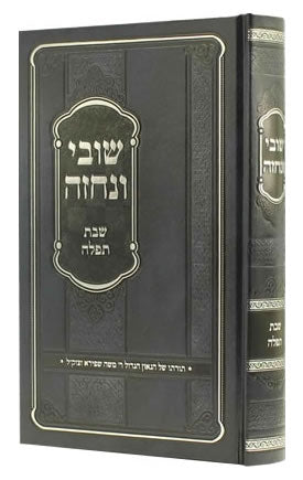 Shuvi VeNechzeh : Shabbos | Tefillah