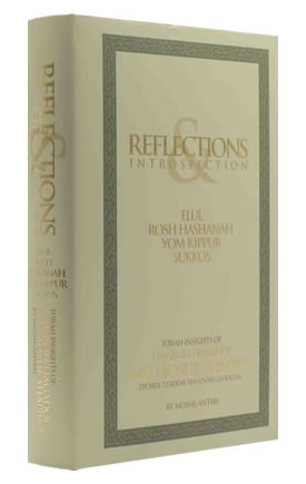 Introspective Rosh Hashana Reflections & Introspection : Elul, Rosh Hashanah, Yom Kippur, Sukkos ...